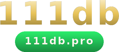 111db logo